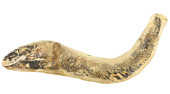 NATURAL GREEN RIVER FISH FOSSI