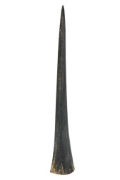 NATURAL MARLIN OR SWORDFISH SP