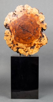 NATURAL TREE TRUNK SPECIMEN MO