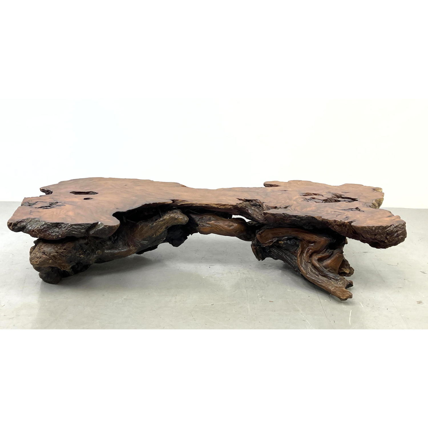 Natural Wood Burl Live Edge
