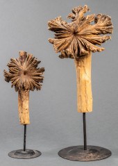 NATURAL WOOD SPECIMENS ON STAN