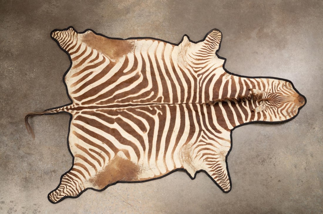 NATURAL ZEBRA HIDE RUG 10' X