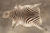 NATURAL ZEBRA HIDE RUG<br>Natu
