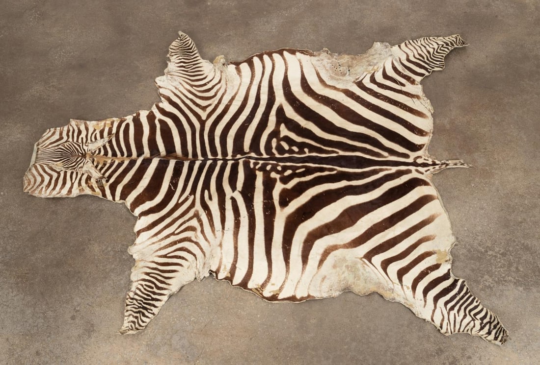 NATURAL ZEBRA HIDE RUGNatural zebra