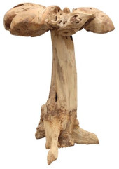 NATURALISTIC LIVE EDGE TOADSTO