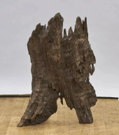 NATURALISTIC ROOTWOOD FRAGMENT