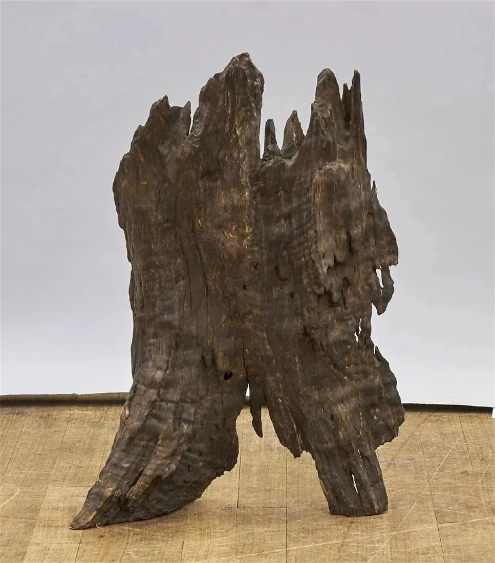 NATURALISTIC ROOTWOOD