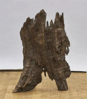 NATURALISTIC ROOTWOOD FRAGMENT