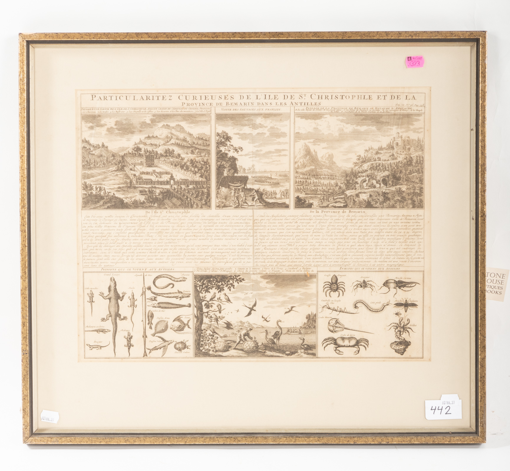 NATURE AND LOCATION PRINT OF ST.