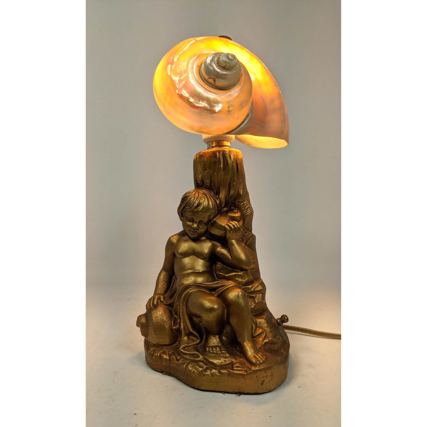 Nautilus Shell Shade Figural