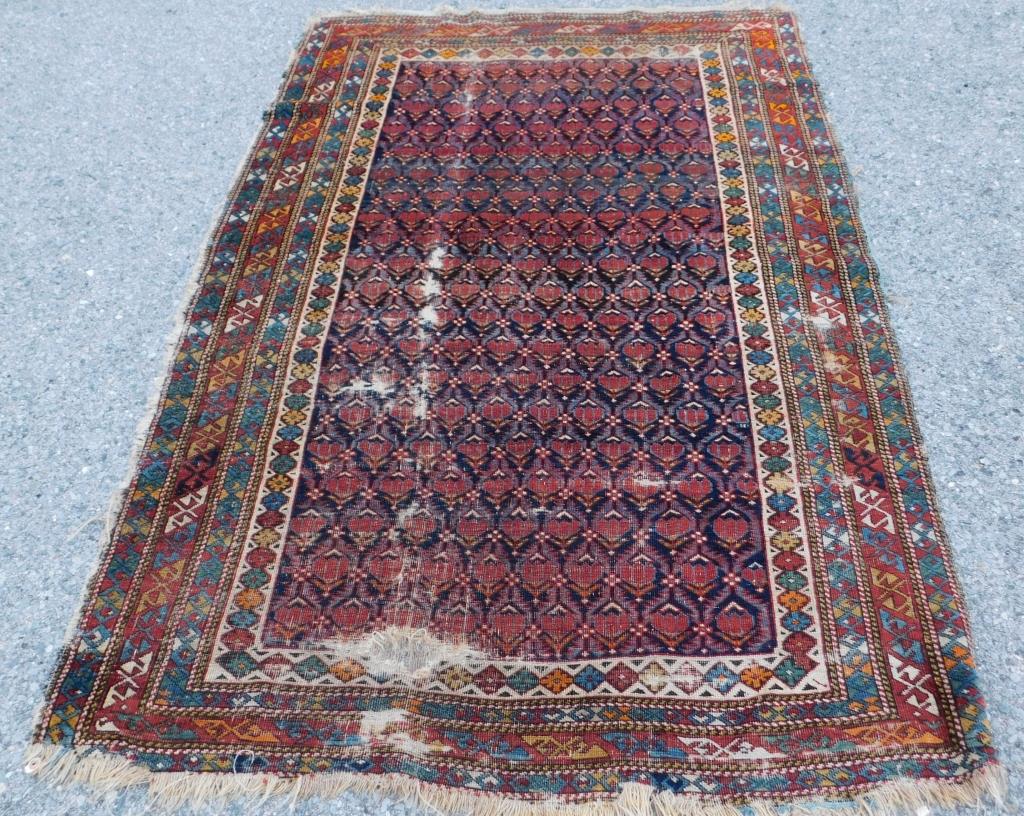 NAVY SHIRVAN RUG Middle East,20th