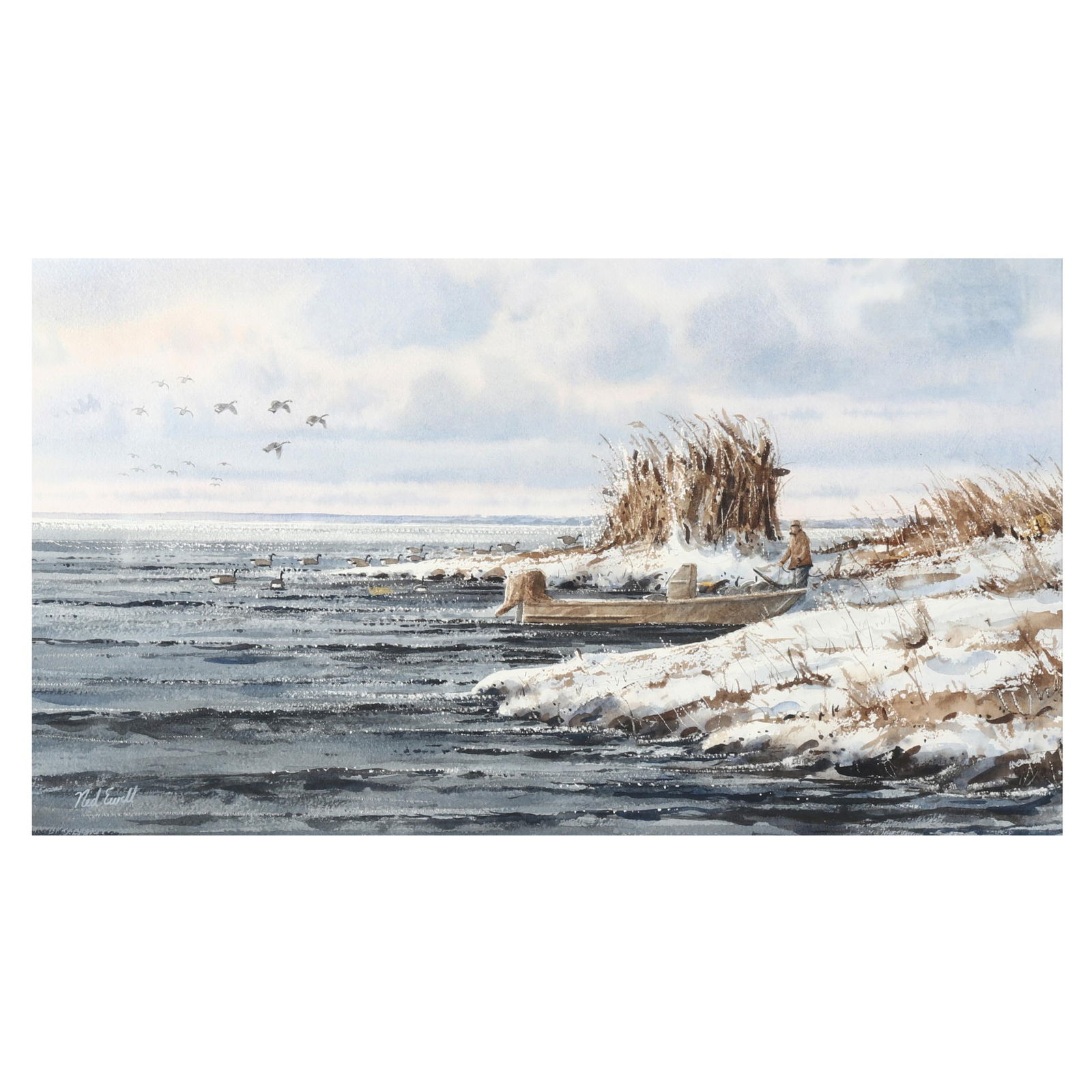 NED EWELL (MD), GOOSE SHORELINE