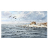 NED EWELL (MD), WINTER GOOSE S