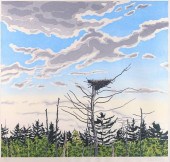 NEIL WELLIVER "OSPREY'S NEST"