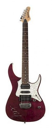 NEIL YOUNG SIGNED GUITAR.Neil