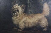 Nellie Hadden (fl.1885-1920) o