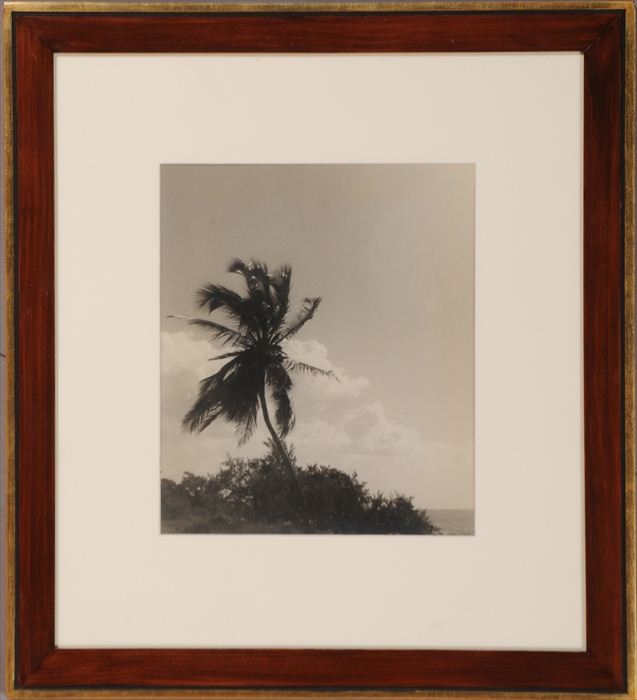 NELLIE MERRIL: A SERIES OF SIX