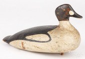 NEW ENGLAND GOLDENEYE DUCK DEC