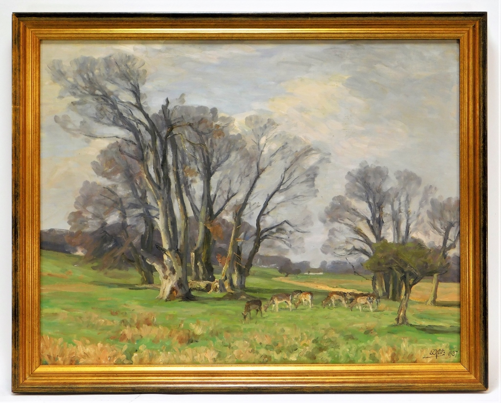 NEW ENGLAND GRAZING DEER
