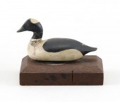 NEW ENGLAND MINIATURE BUFFLEHE