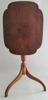 NEW ENGLAND TIGER MAPLE AND CH