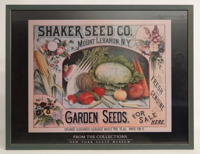 New York State Museum ''Shaker Seed