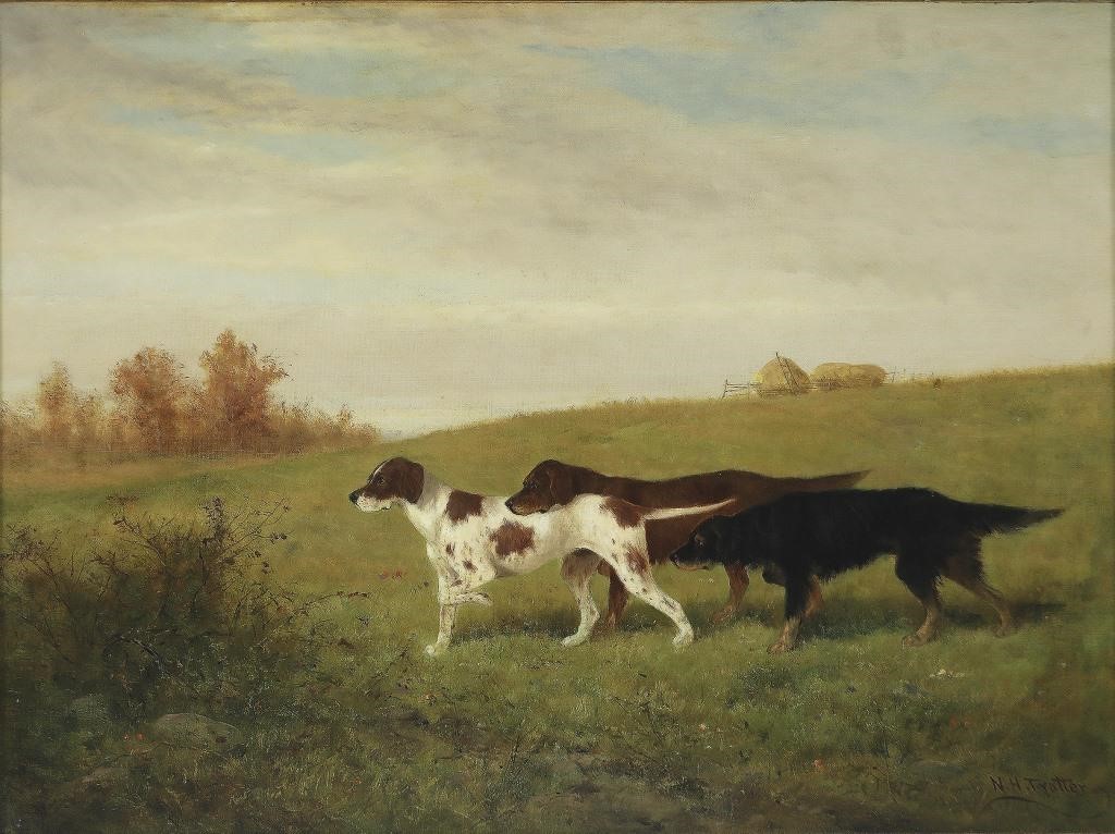NEWBOLD HOUGH TROTTER