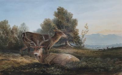 Newton Fielding (1799-1856)/Stag