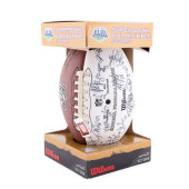 NFL SUPER BOWL XLIII CARDINALS