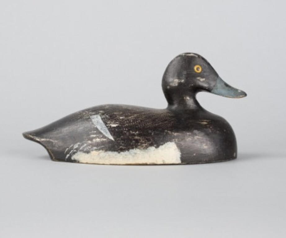 NICHOL-STYLE BLUEBILL DRAKEA