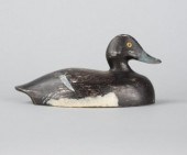 NICHOL-STYLE BLUEBILL DRAKEA N