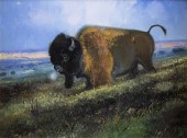 NICHOLAS COLEMAN (1978-), YELL