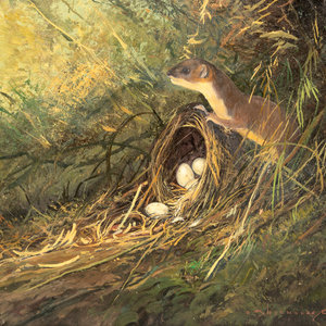 Nicholas Coleman (American, b.