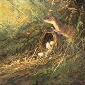 Nicholas Coleman
(American, b.