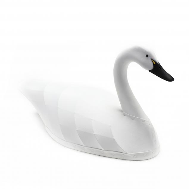 NICK SAPONE (NC), CANVASBACK SWAN