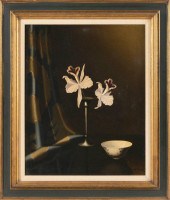 NICOLAAS BRUYNESTEYN (THE NETH