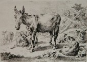 NICOLAS BERCHEM ENGRAVINGNicol