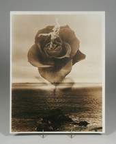 NIJINSKY PHOTOGRAPH "SPECTRE D