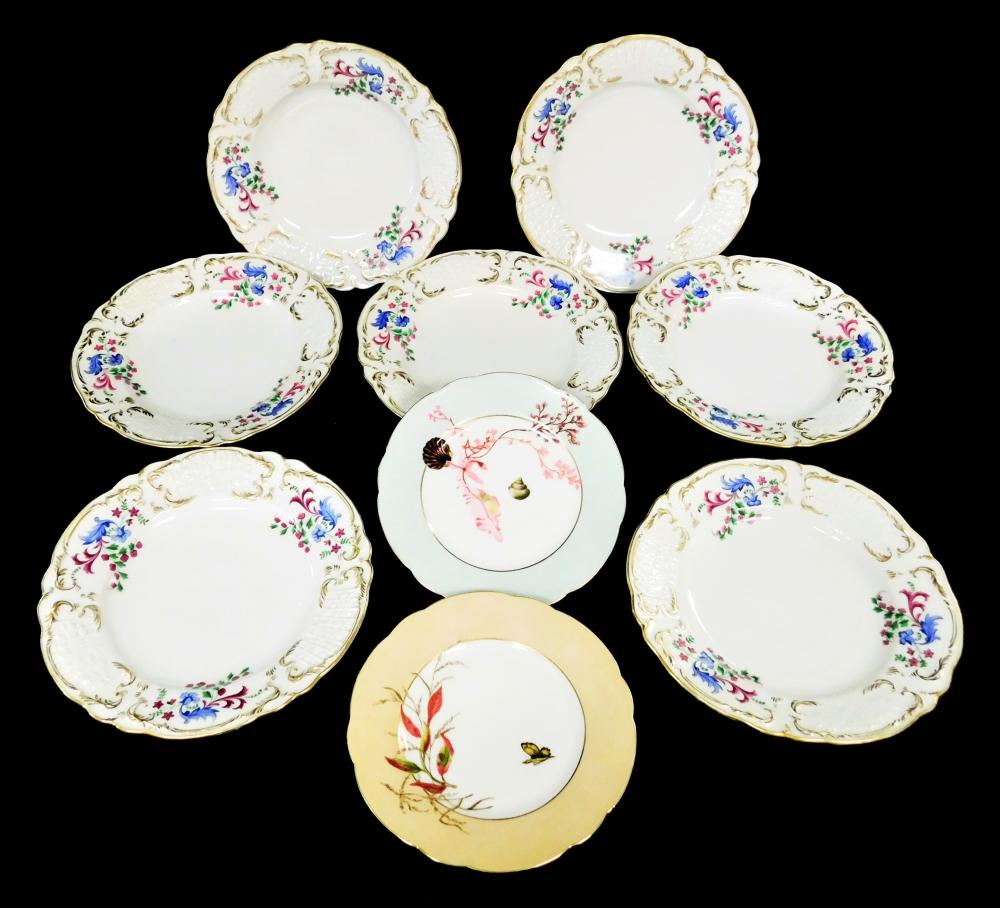 NINE CONTINENTAL PORCELAIN