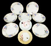 NINE CONTINENTAL PORCELAIN PLA
