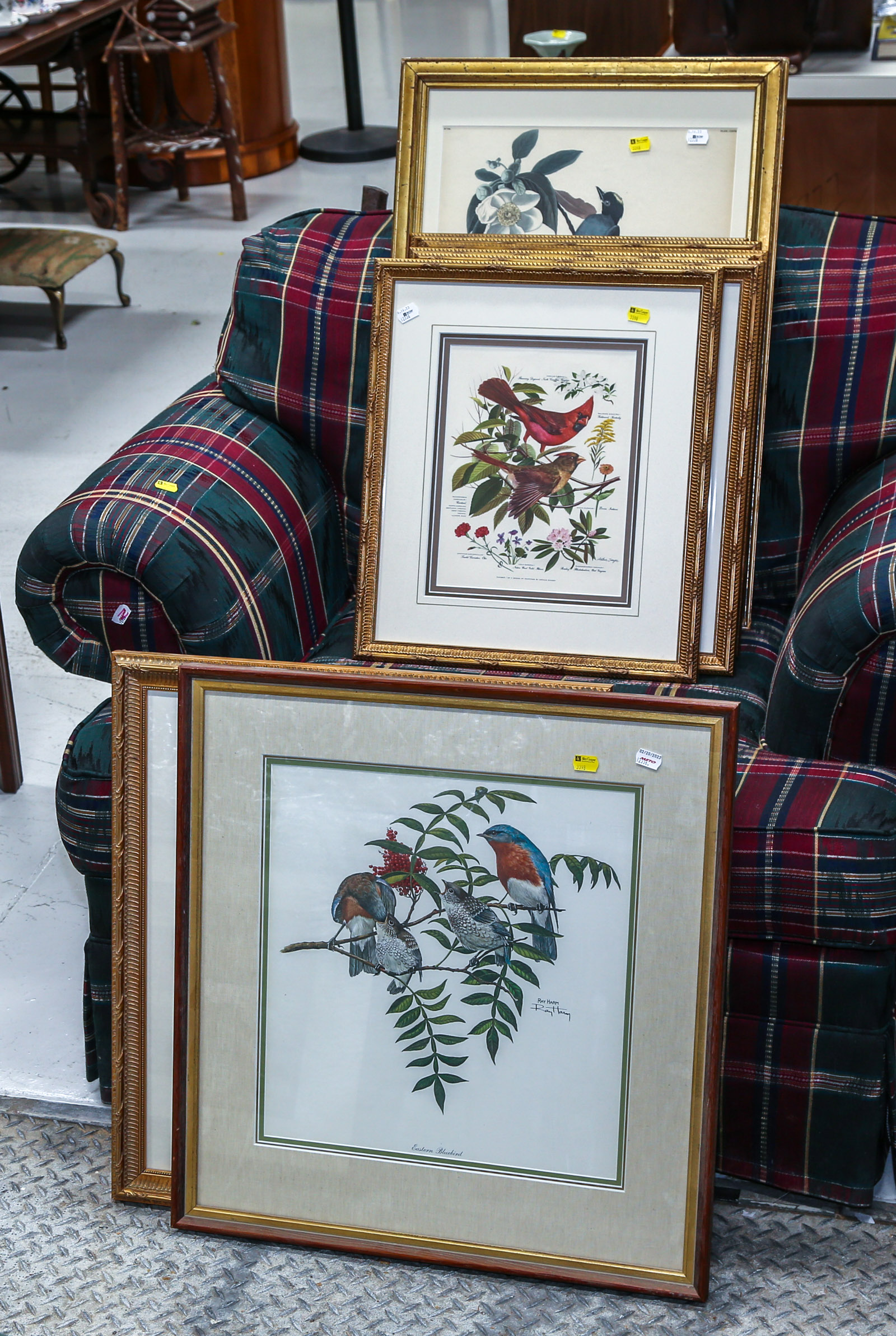 NINE FRAMED BIRD PRINTS Largest