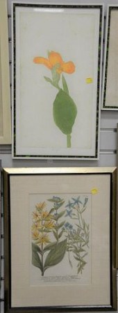NINE FRAMED PIECES TO INCLUDE: