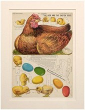 Nine printed toy advertisement