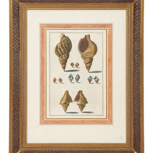 Nine Trowbridge Color Prints