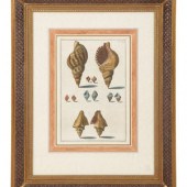 Nine Trowbridge Color Prints D