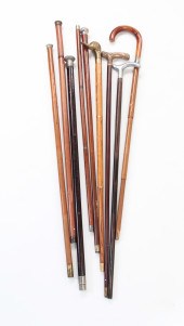 NINE WALKING STICKS AND GADGET