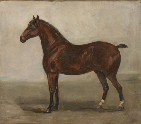 Nineteenth century animal portrait;