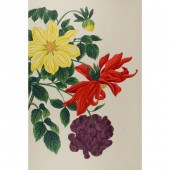 NISHIMURA HODO - DAHLIAS Nishi