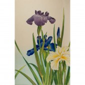 NISHIMURA HODO - IRISES Nishim