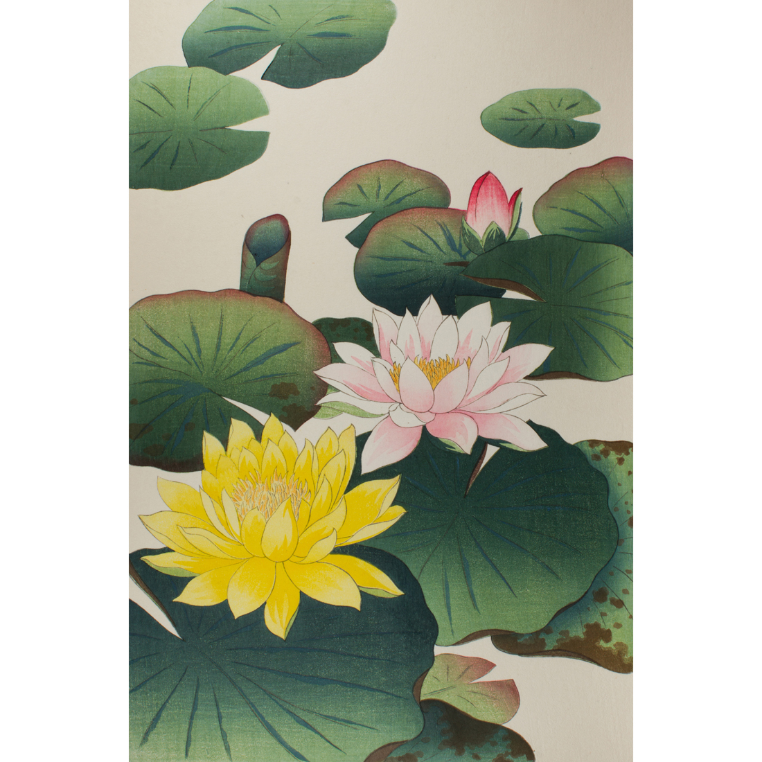 NISHIMURA HODO - LOTUS BLOSSOMS